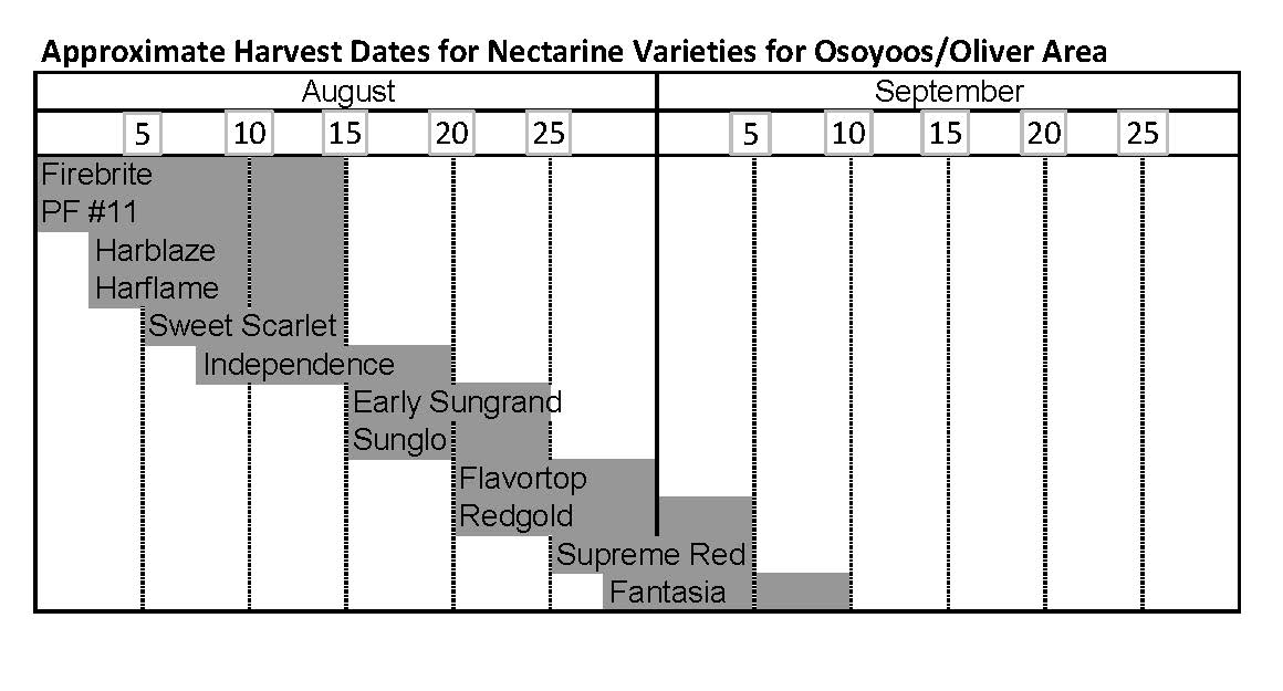 Nectarines Harvest Chart